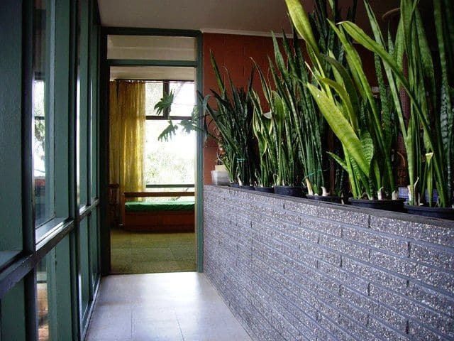 19 Walker Avenue, HEATHFIELD SA 5153, Heathfield - Thumbnail 4