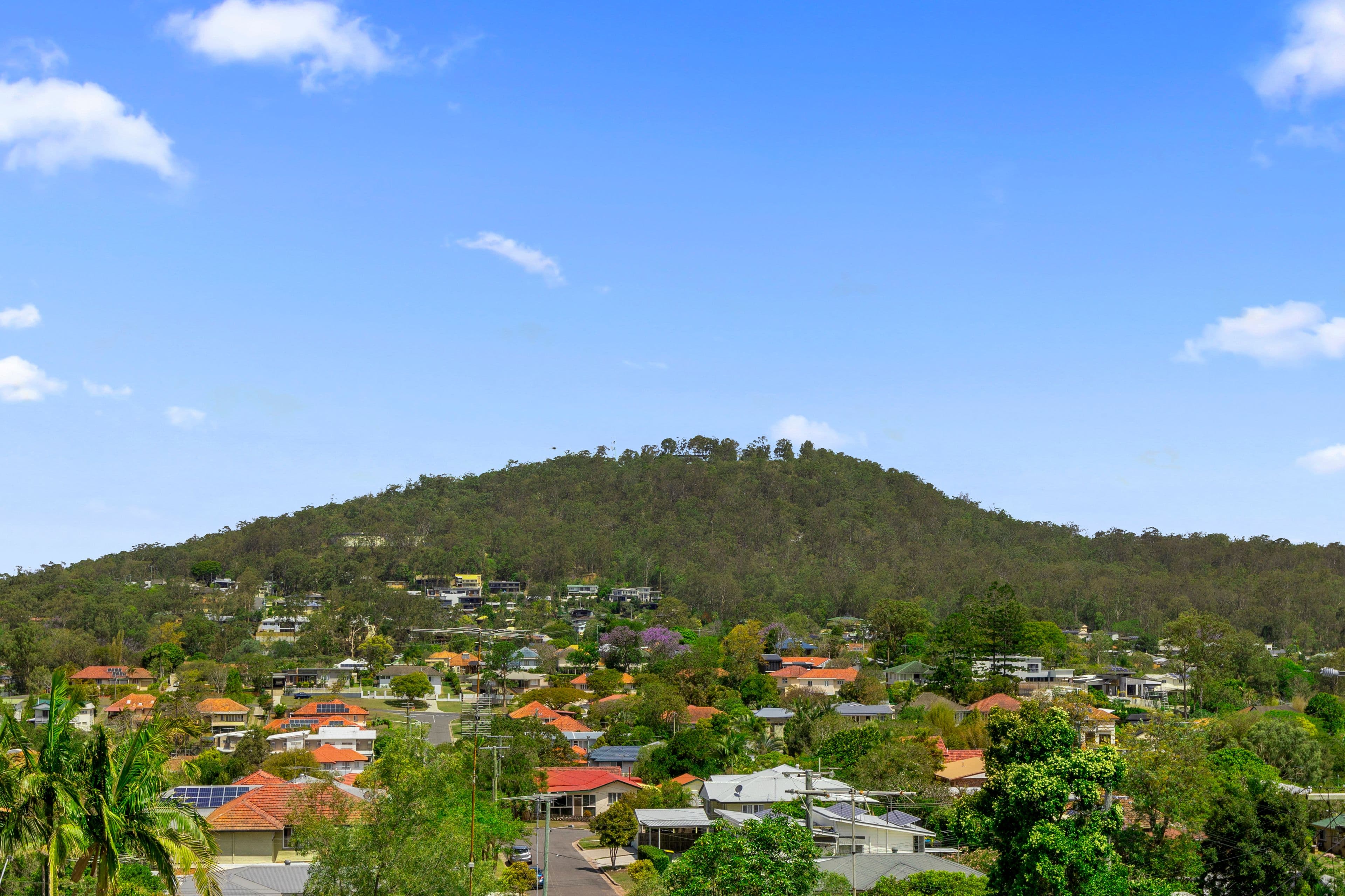 17 Hoya Street, Holland Park West QLD 4121, Holland Park West - Thumbnail 3