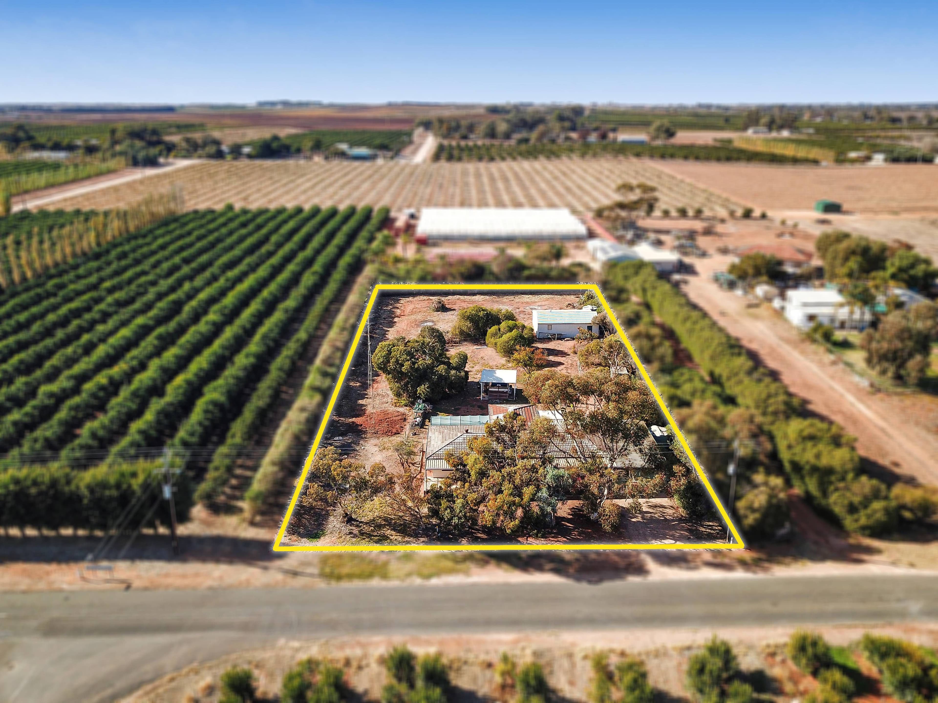 91 Cox Road, Sunlands SA 5322, Sunlands - Thumbnail 2