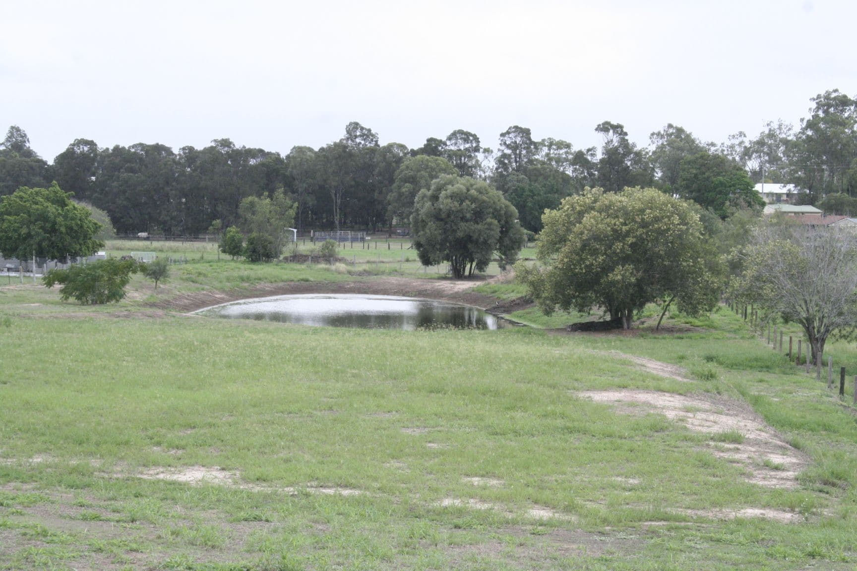23 Carol Anne Court, Regency Downs QLD 4341, Regency Downs - Thumbnail 7