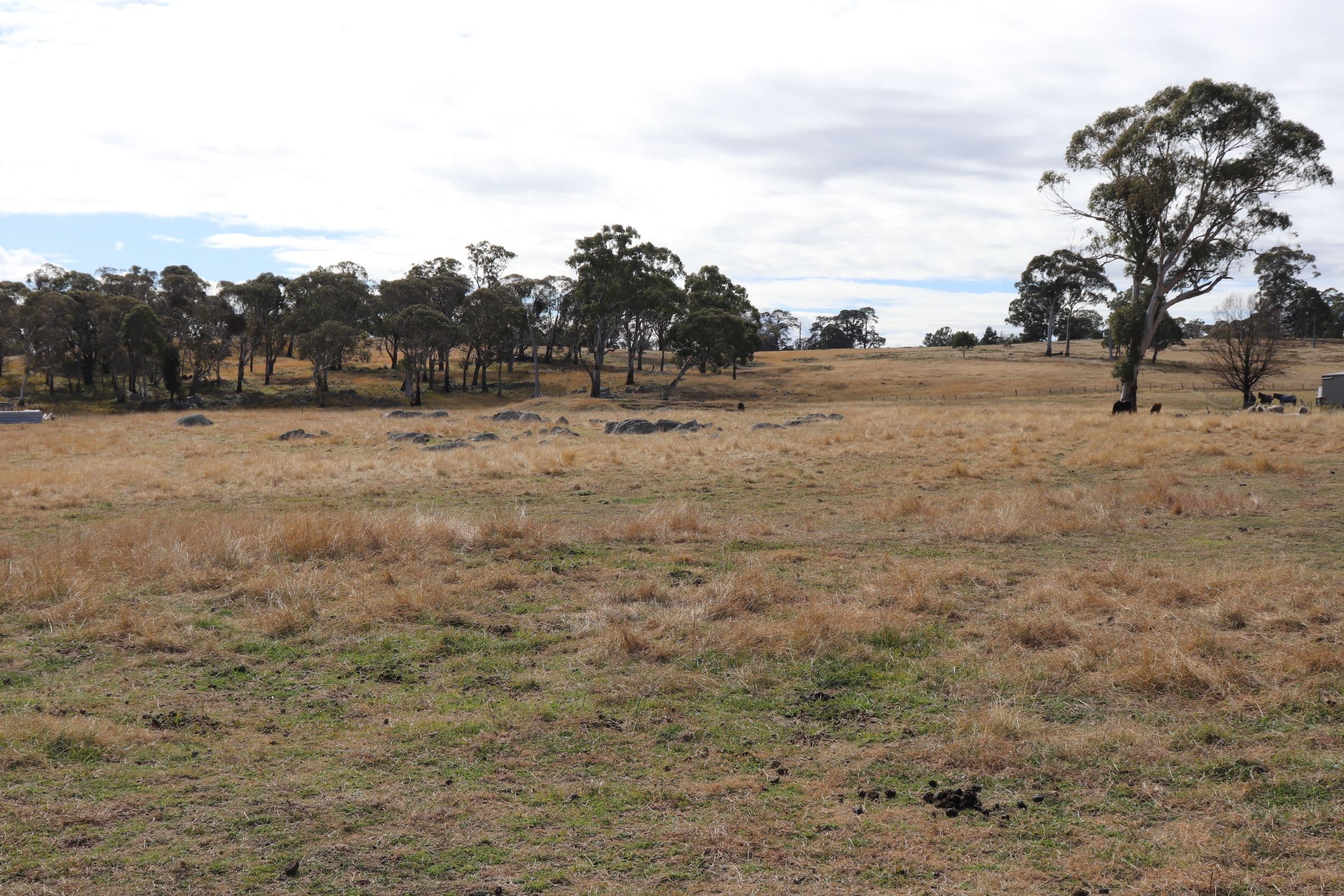 14 Sunnyview Drive, Shannon Vale NSW 2370, Shannon Vale - Thumbnail 2