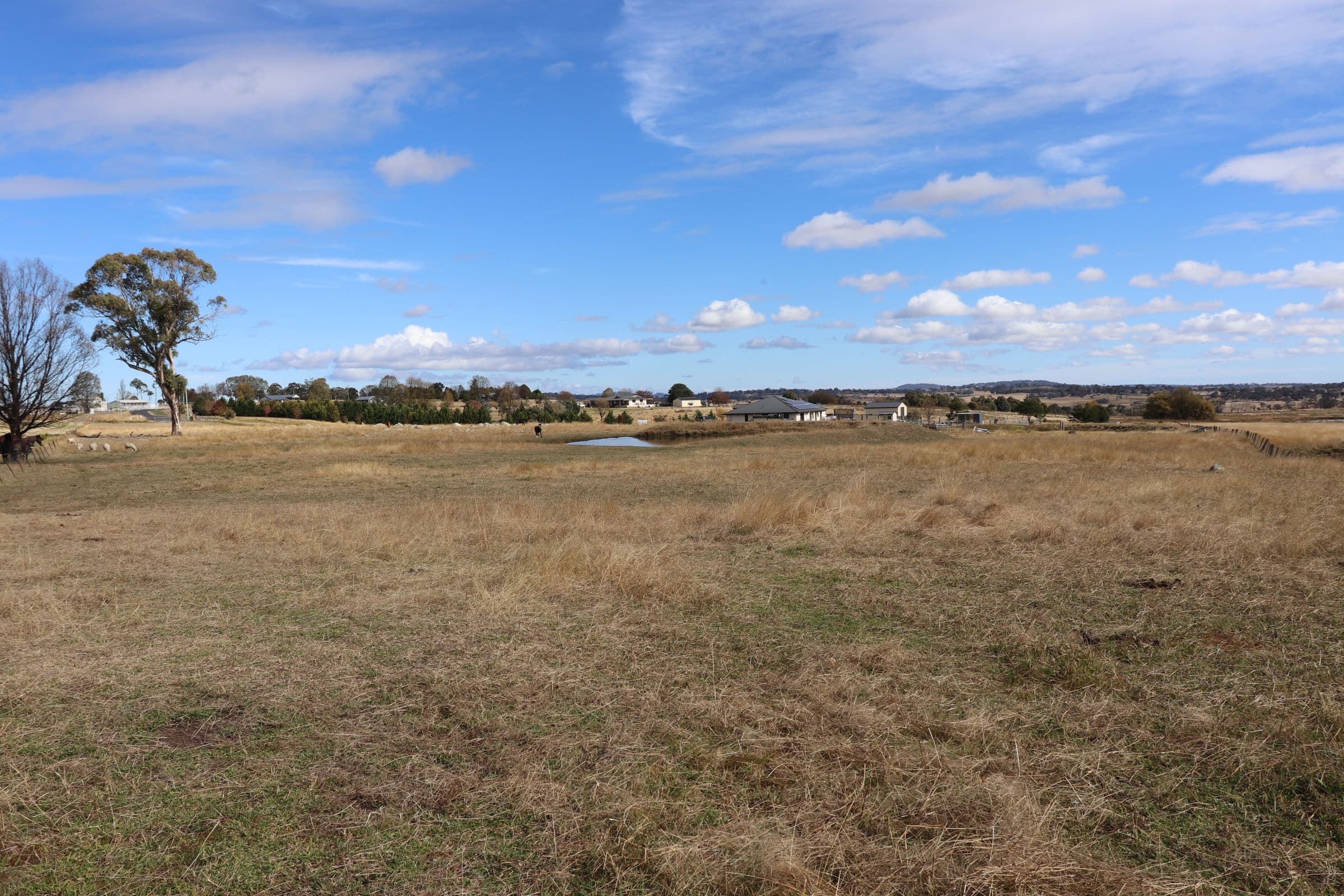 14 Sunnyview Drive, Shannon Vale NSW 2370, Shannon Vale - Thumbnail 3
