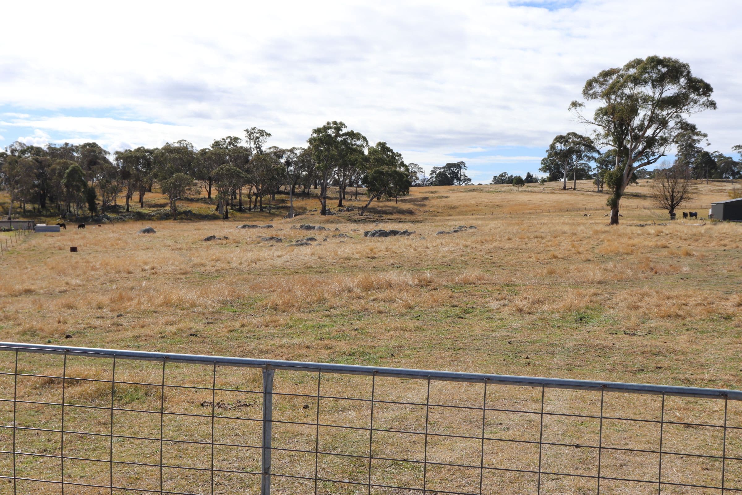 14 Sunnyview Drive, Shannon Vale NSW 2370, Shannon Vale - Thumbnail 5