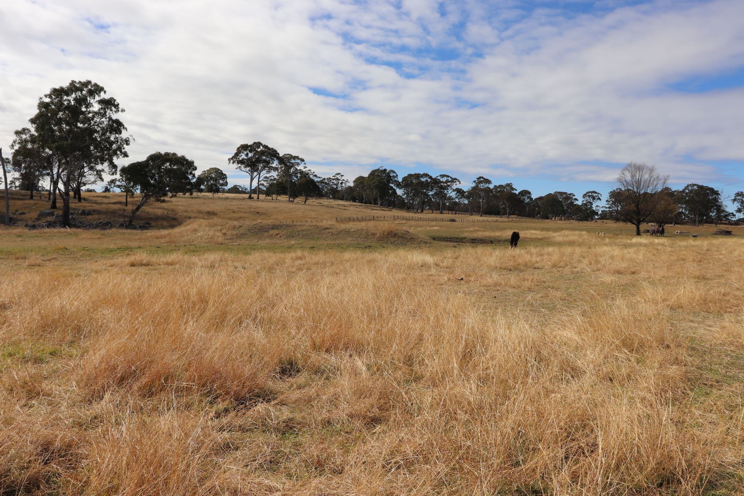 14 Sunnyview Drive, Shannon Vale NSW 2370, Shannon Vale - Thumbnail 6