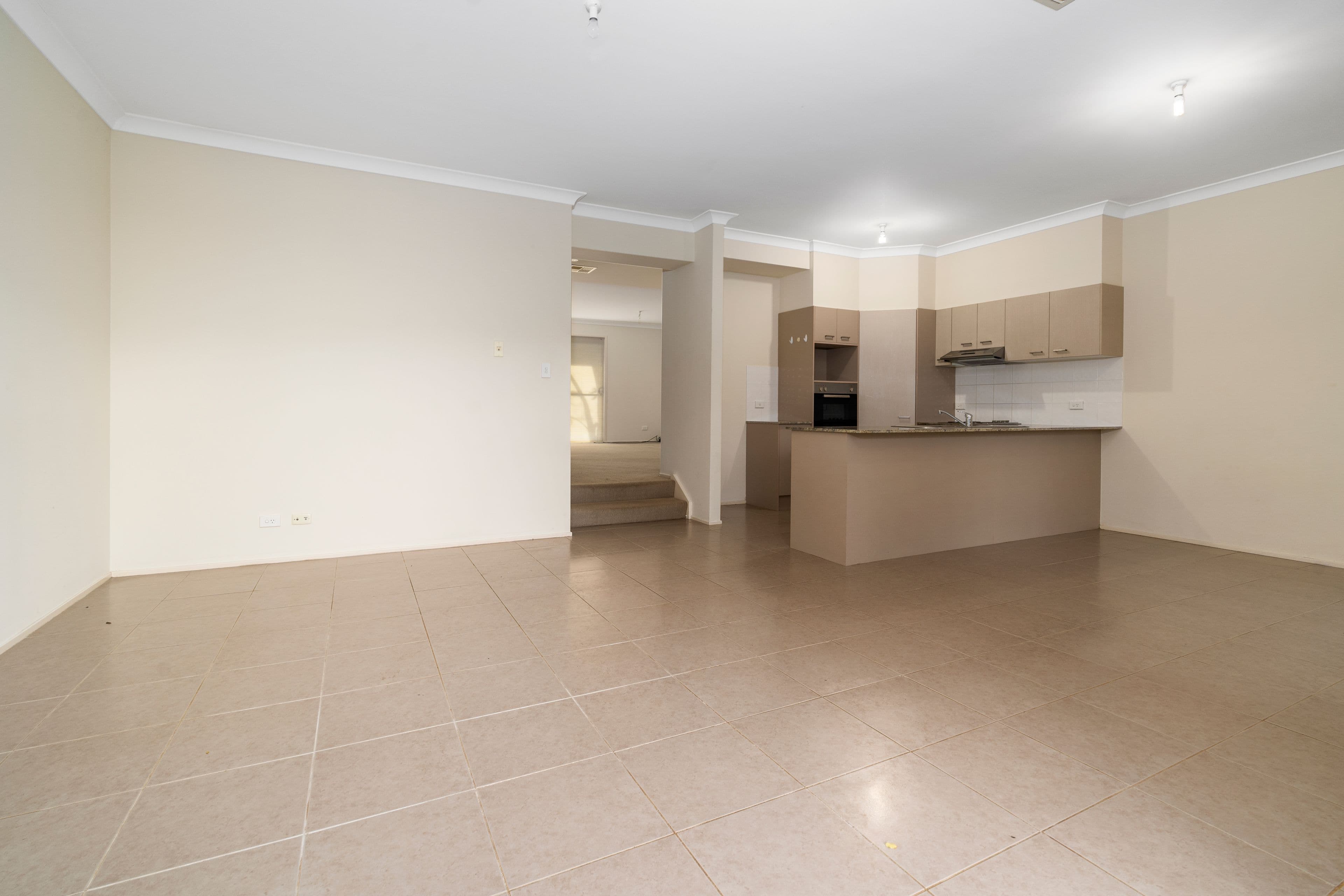 10 Trotter Street, Elderslie NSW 2570, Elderslie - Thumbnail 4