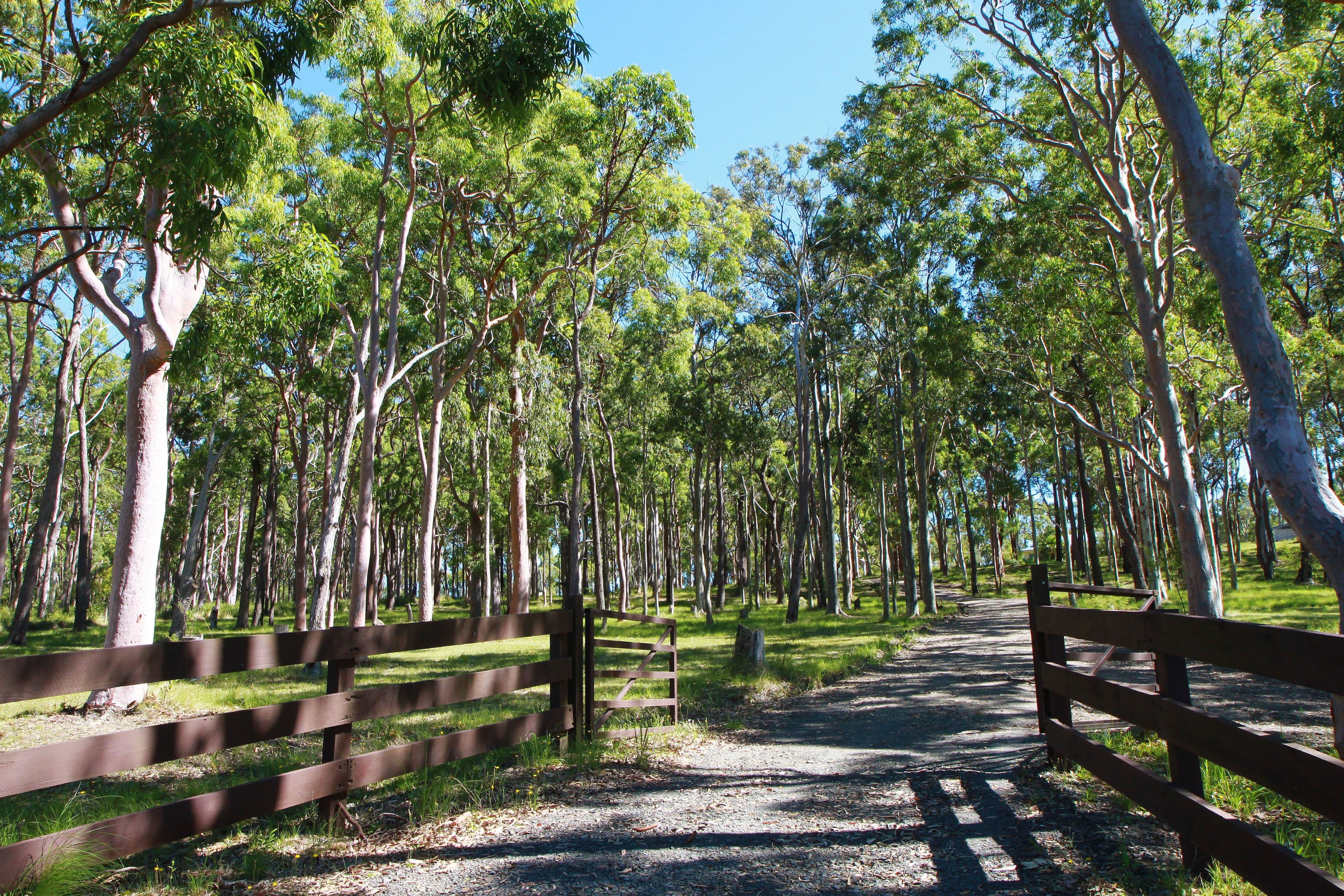 230 Bundabah Road, Bundabah - Thumbnail 2