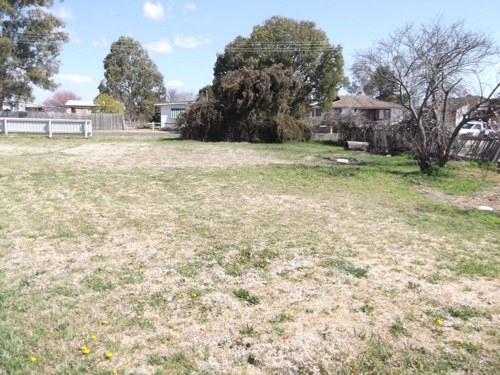 10 Douglas Lane, BARRABA NSW 2347, Barraba - Thumbnail 2
