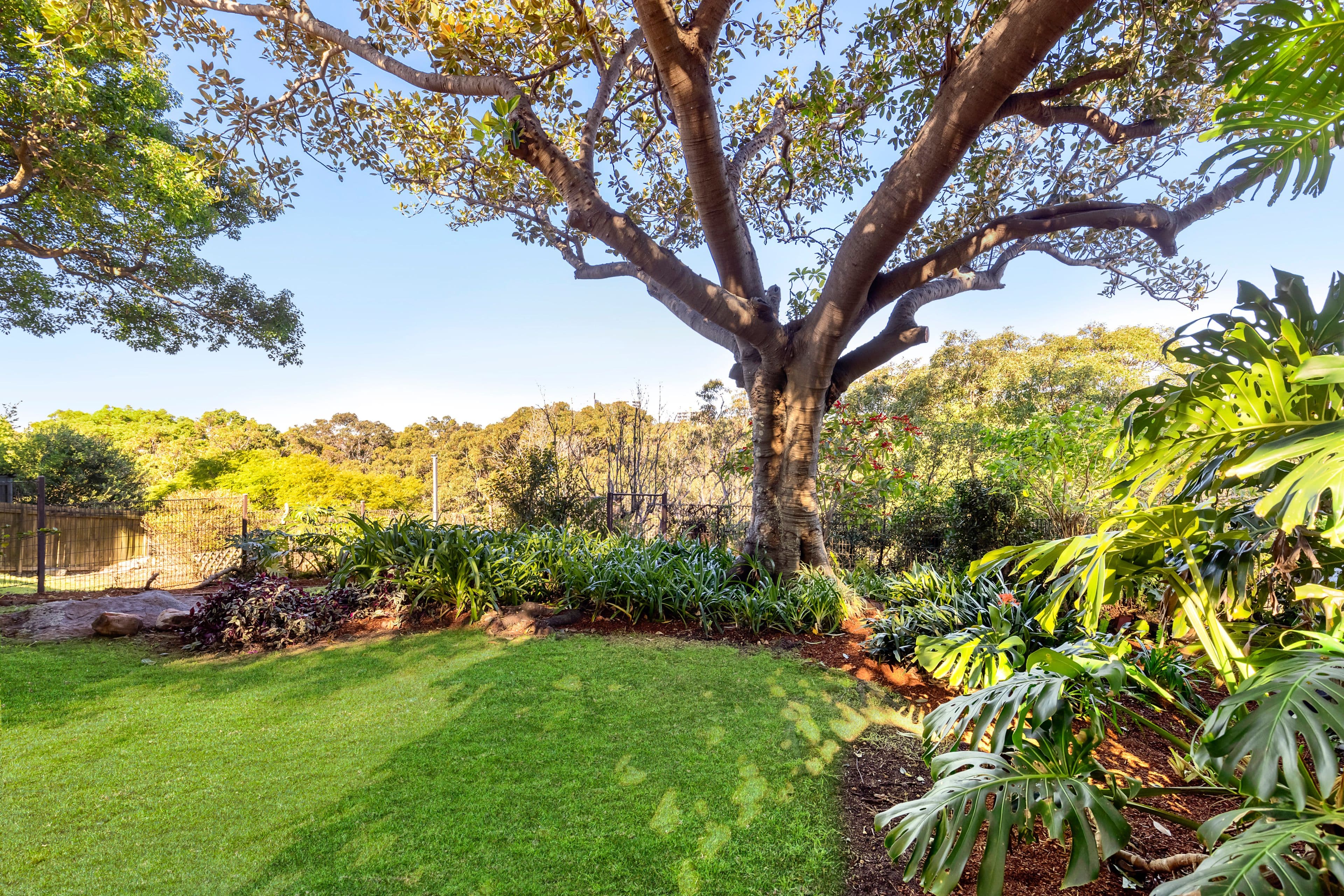 13 & 14 Greens Drive, Cammeray NSW 2062, Cammeray - Thumbnail 3
