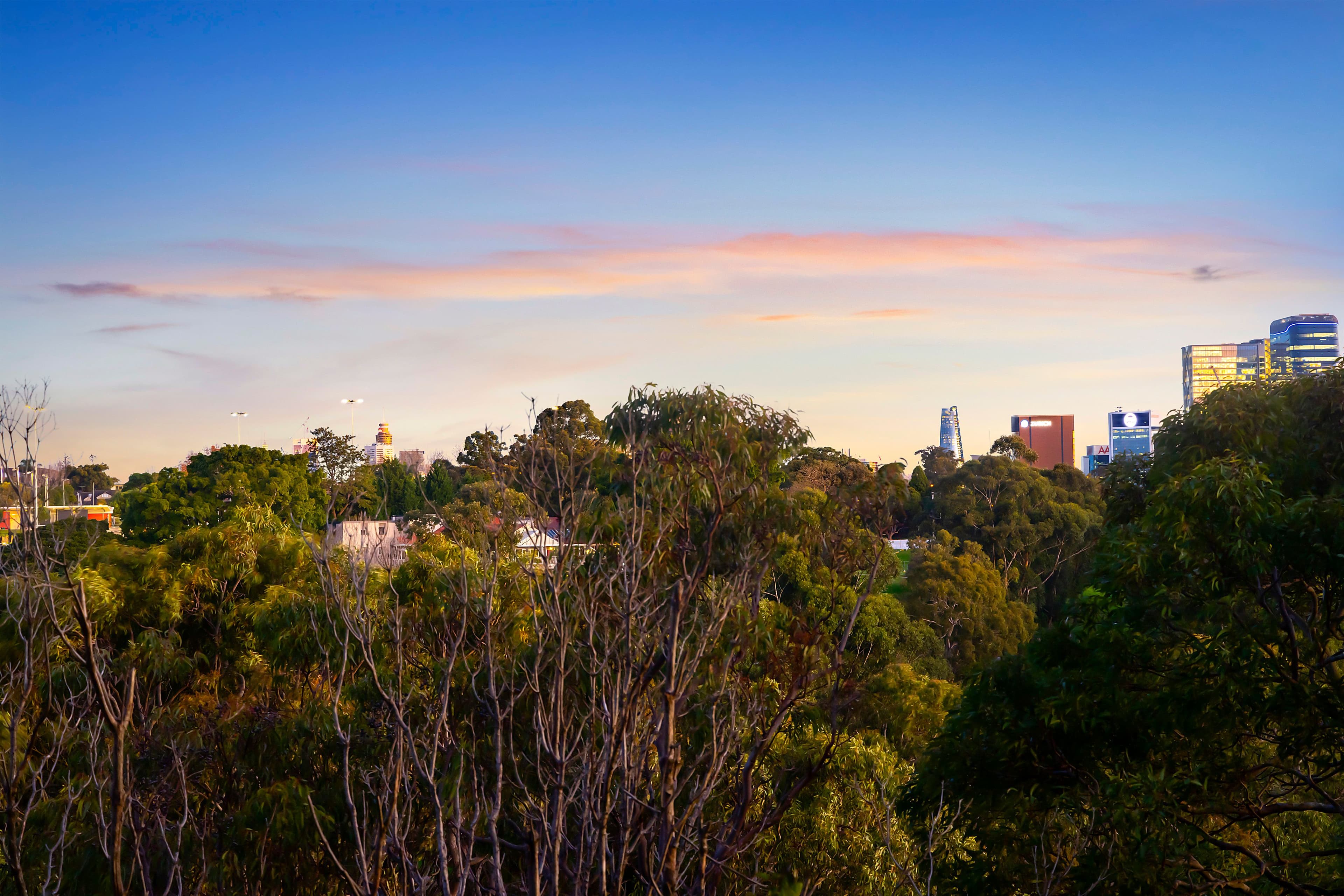 13 & 14 Greens Drive, Cammeray NSW 2062, Cammeray - Thumbnail 6