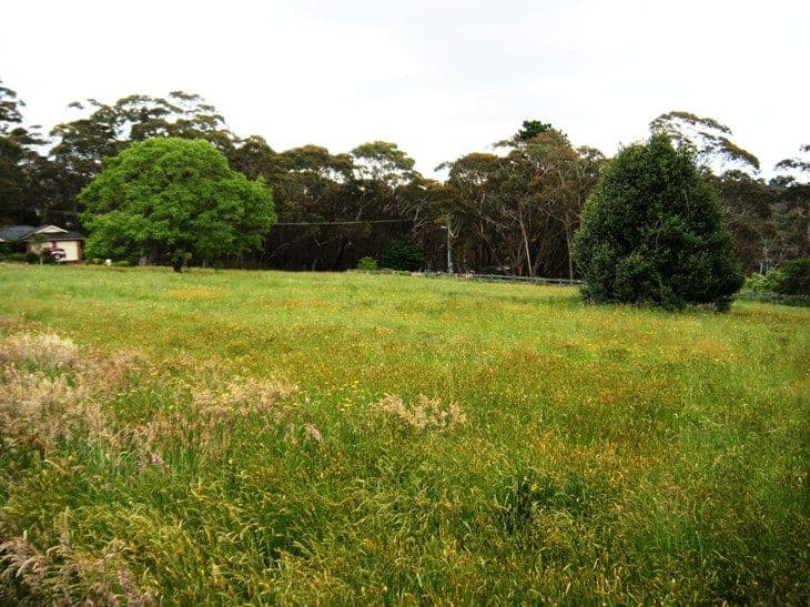 Lot 202 McCall Avenue, BLACKHEATH NSW 2785, Blackheath - Thumbnail 3