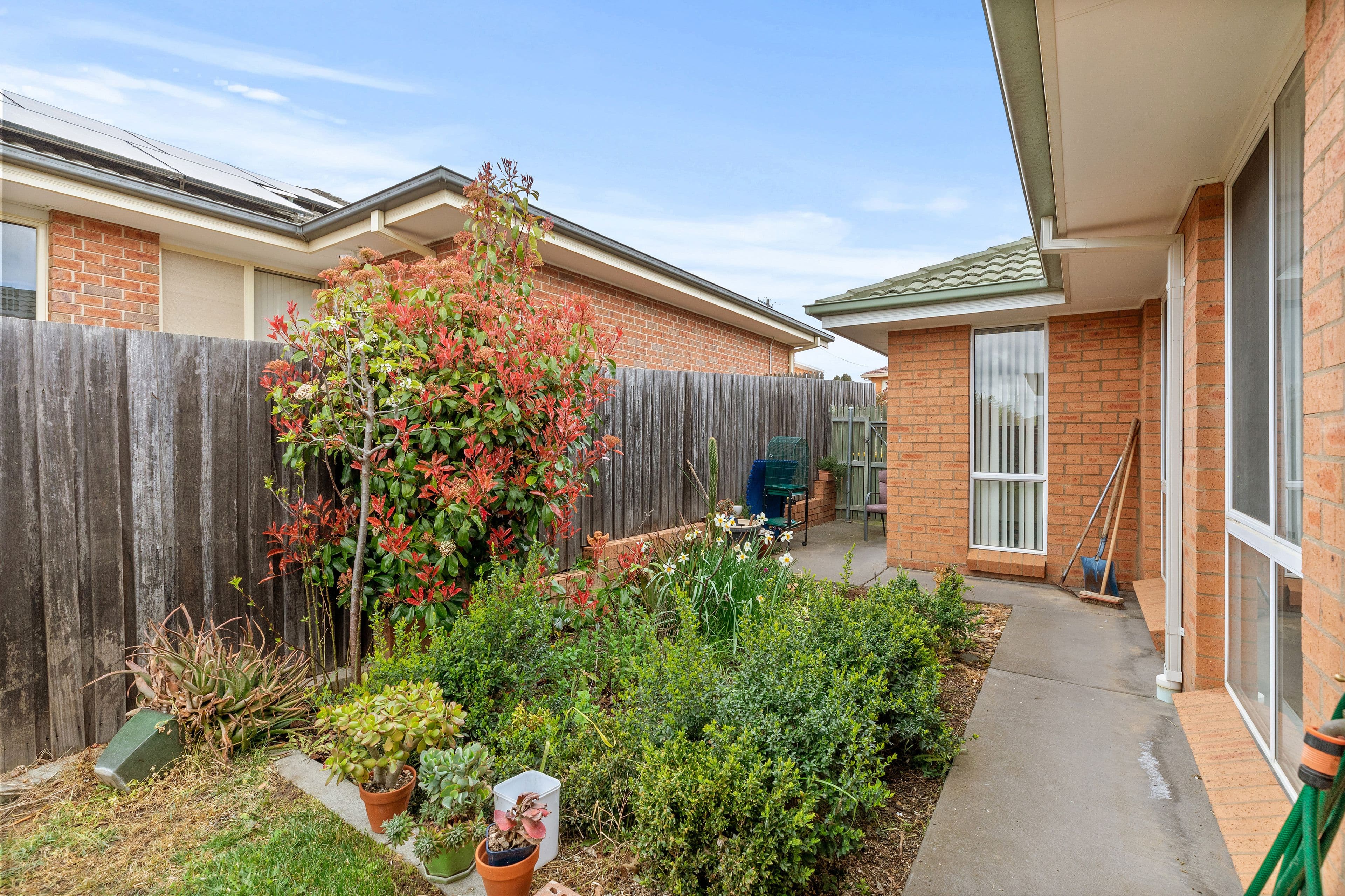 119 Morton Street, Crestwood NSW 2620, Crestwood - Thumbnail 4
