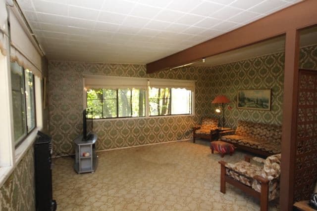 223 Hardwood Road, Landsborough QLD 4550, Landsborough - Thumbnail 4