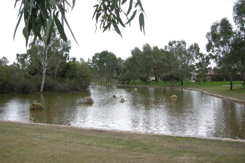 2 Bristol  Terrace, OAKDEN SA 5086, Oakden - Thumbnail 2