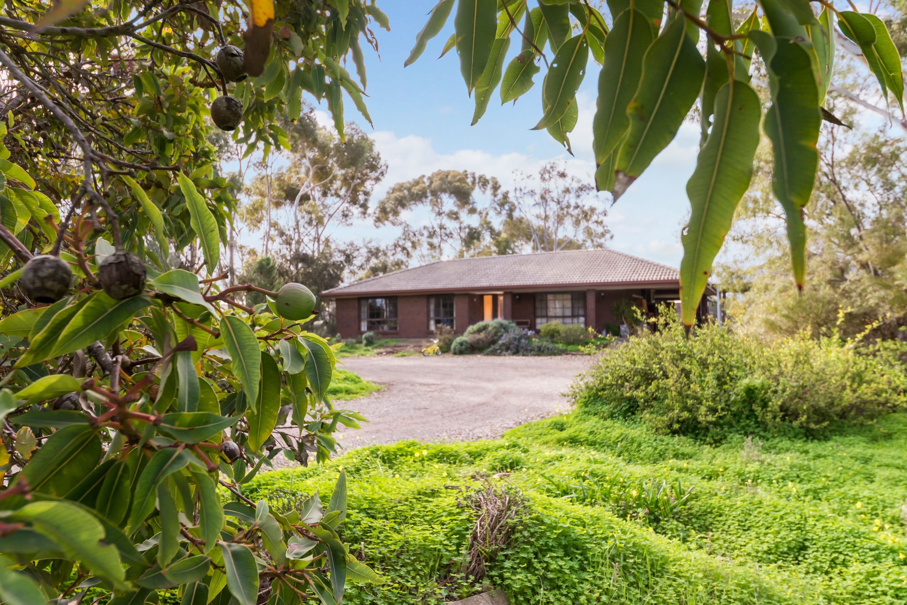 88 Bethesda Road, Lewiston SA 5501, Lewiston - Image 1