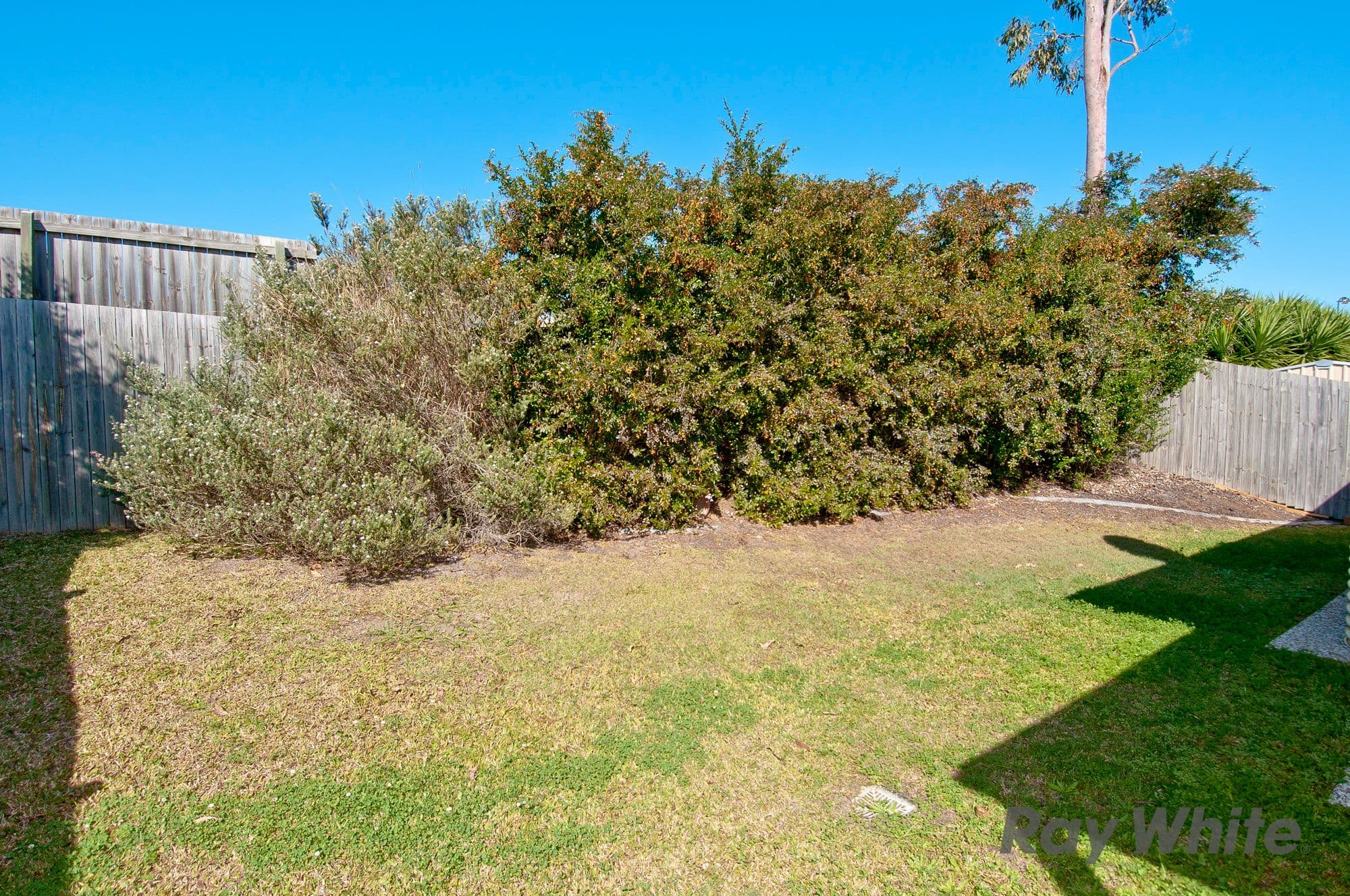 38 Sanctuary Parkway, Waterford QLD 4133, Waterford - Thumbnail 8
