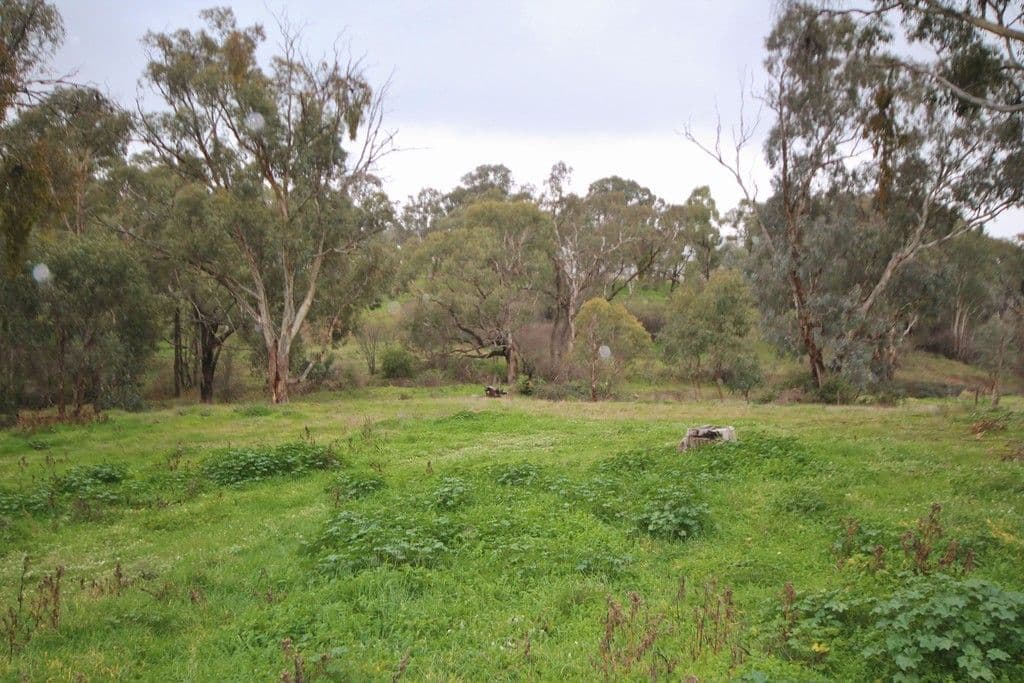 75 Victoria Gully Road, YOUNG NSW 2594, Young - Image 1