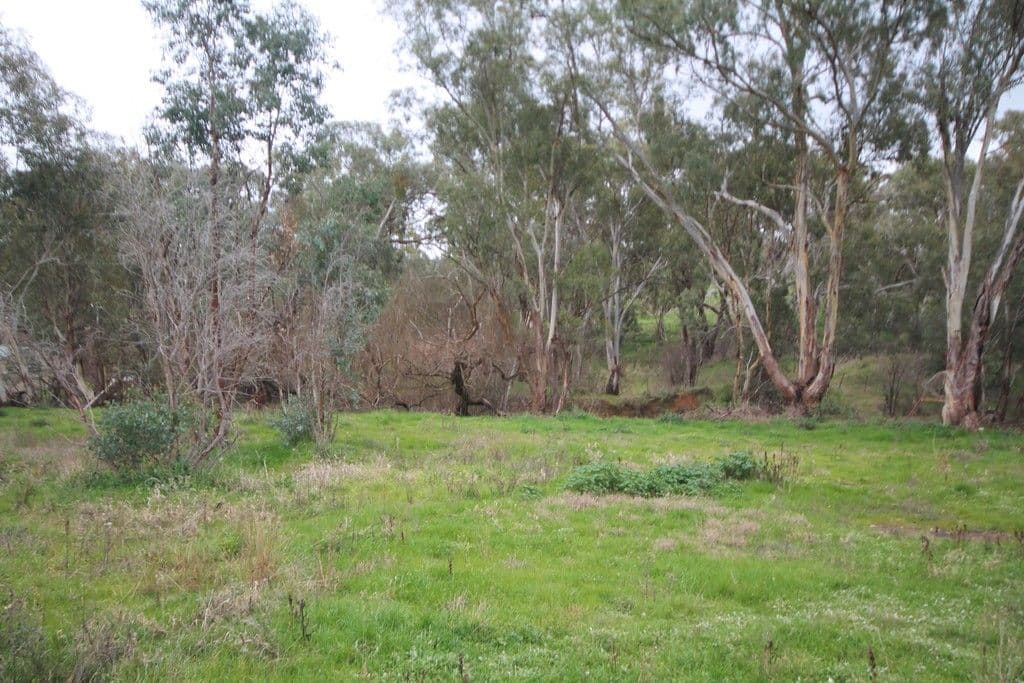 75 Victoria Gully Road, YOUNG NSW 2594, Young - Thumbnail 3