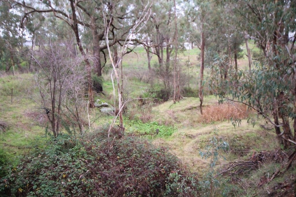 75 Victoria Gully Road, YOUNG NSW 2594, Young - Thumbnail 5