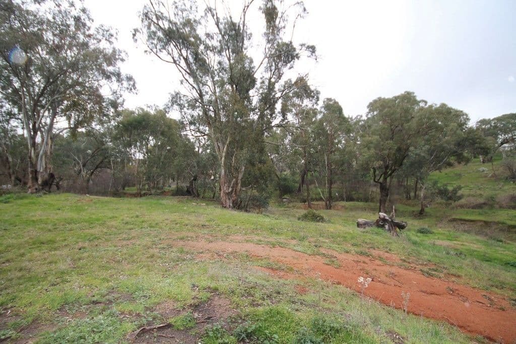 75 Victoria Gully Road, YOUNG NSW 2594, Young - Thumbnail 6