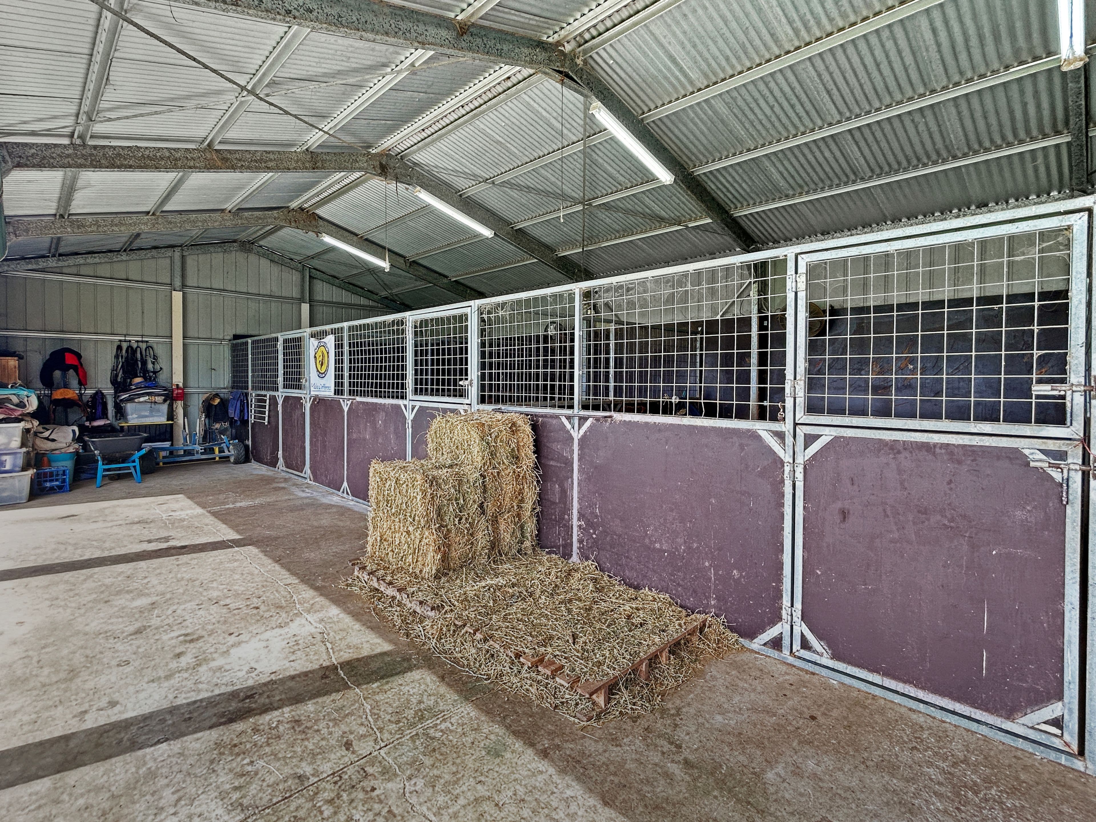 531 Mount Beppo Road, Mount Beppo QLD 4313, Mount Beppo - Thumbnail 7