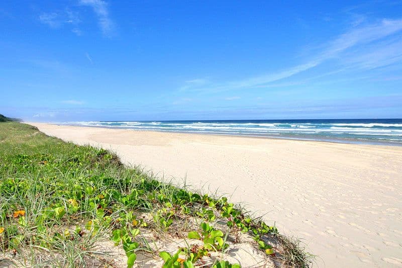 37 She-Oak Lane, CASUARINA NSW 2487, Casuarina - Thumbnail 6