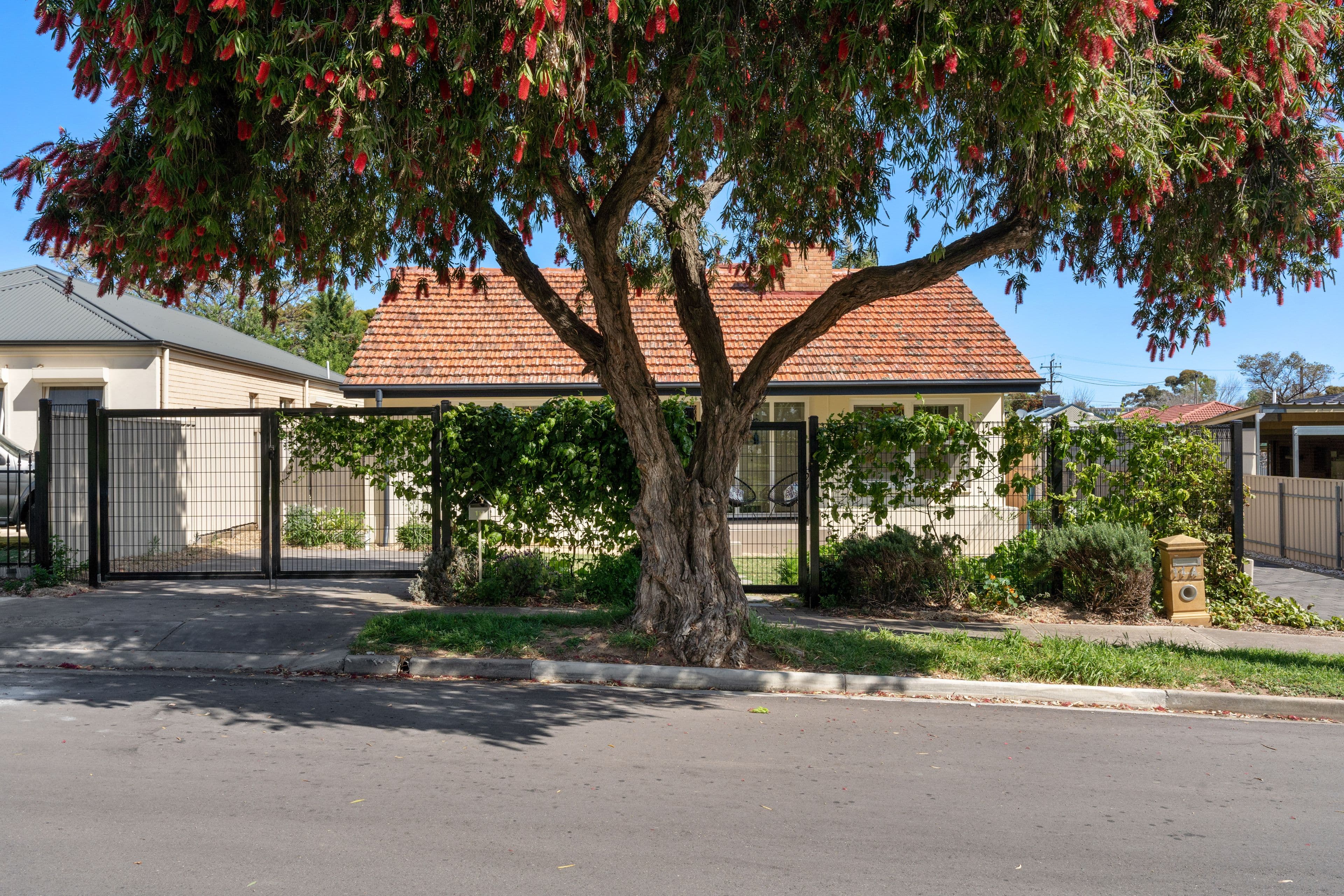 11 Kelway Crescent, Clearview SA 5085, Clearview - Thumbnail 2