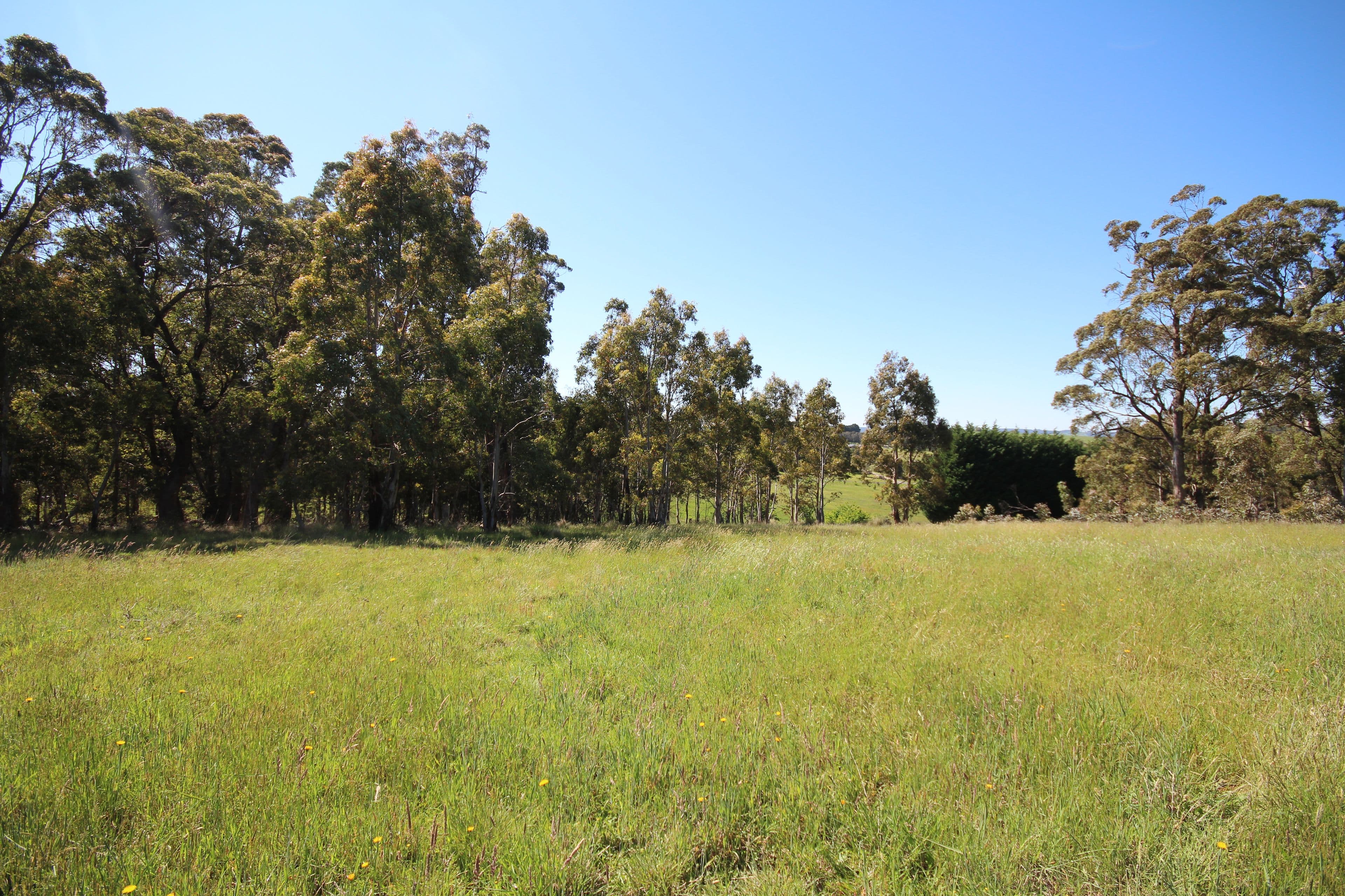 31 Marks Crescent, Oberon NSW 2787, Oberon - Image 1