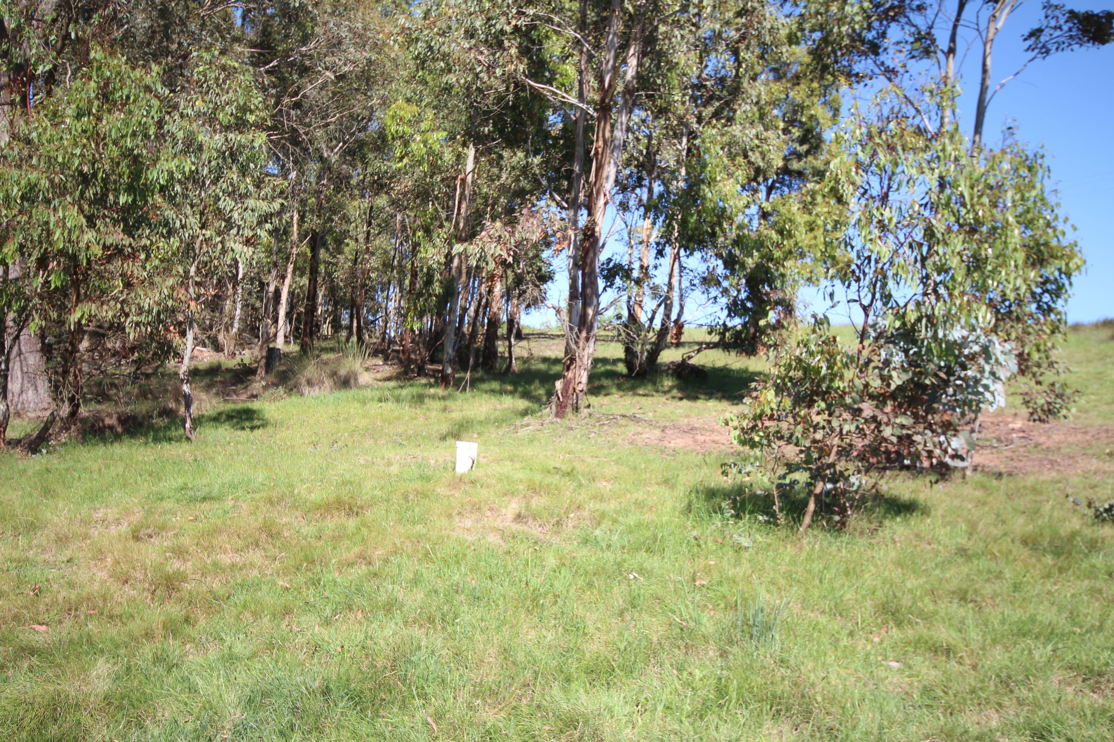 31 Marks Crescent, Oberon NSW 2787, Oberon - Thumbnail 4