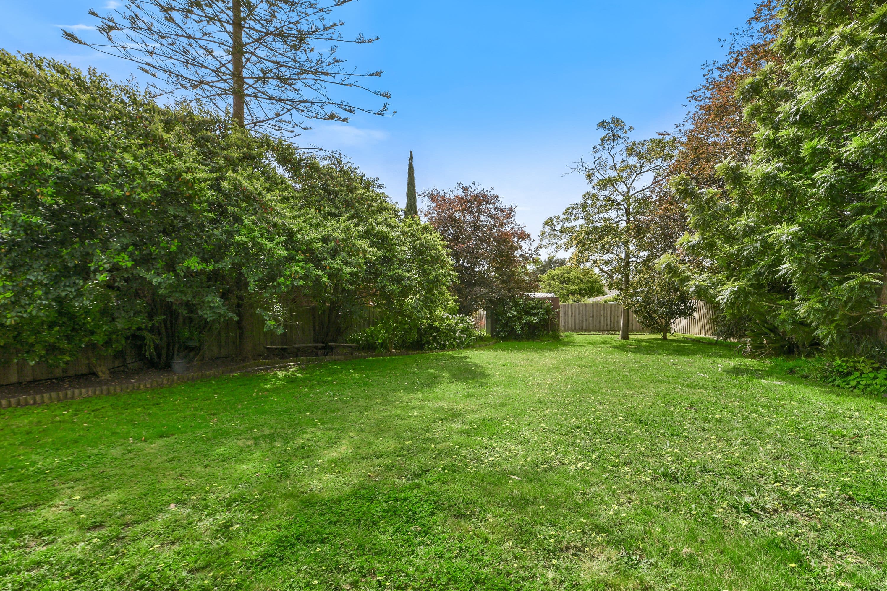 87 Winmalee Drive, Glen Waverley VIC 3150, Glen Waverley - Thumbnail 6