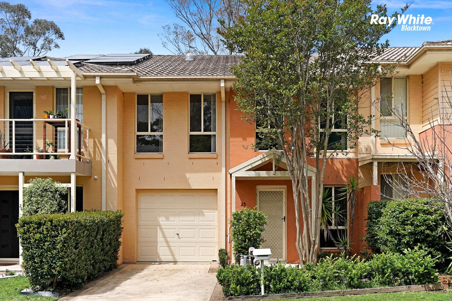 25 Tree Top Circuit, Quakers Hill NSW 2763, Quakers Hill - Thumbnail 2