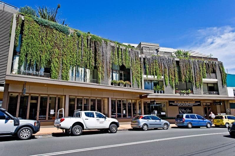 62 Frenchmans Road, RANDWICK NSW 2031, Randwick - Thumbnail 5