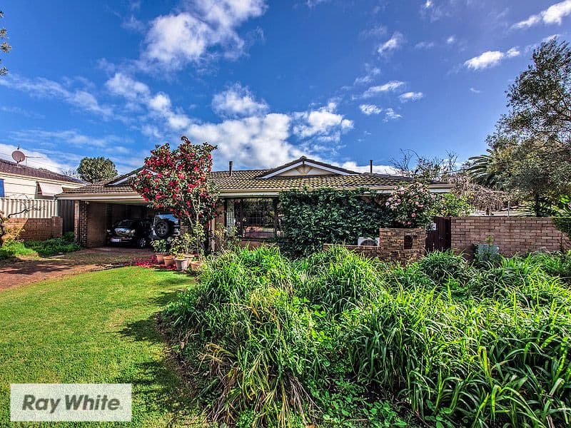 5 Pinaster Street, Menora WA 6050, Menora - Thumbnail 2