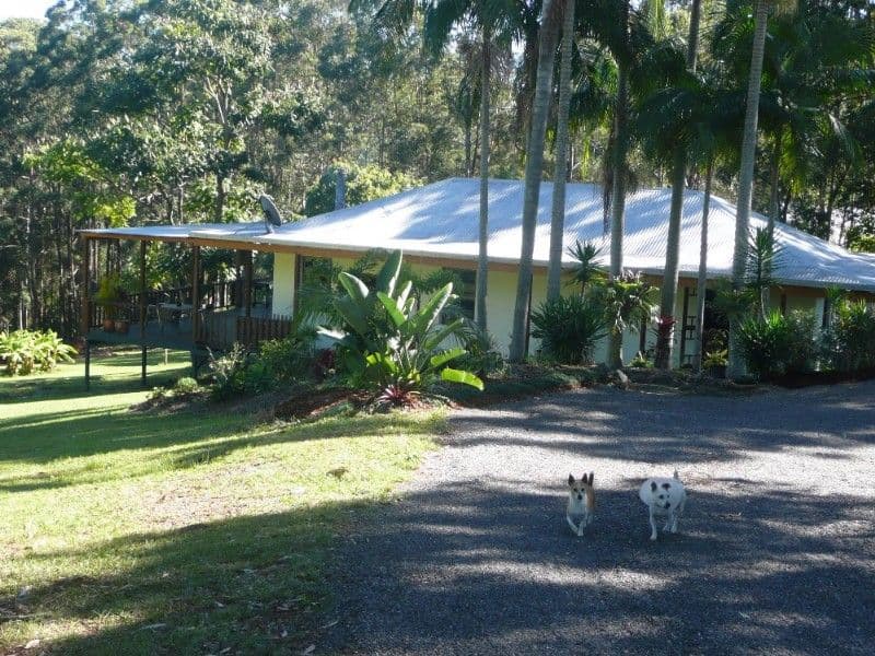 BLI BLI QLD 4560, Bli Bli - Thumbnail 3