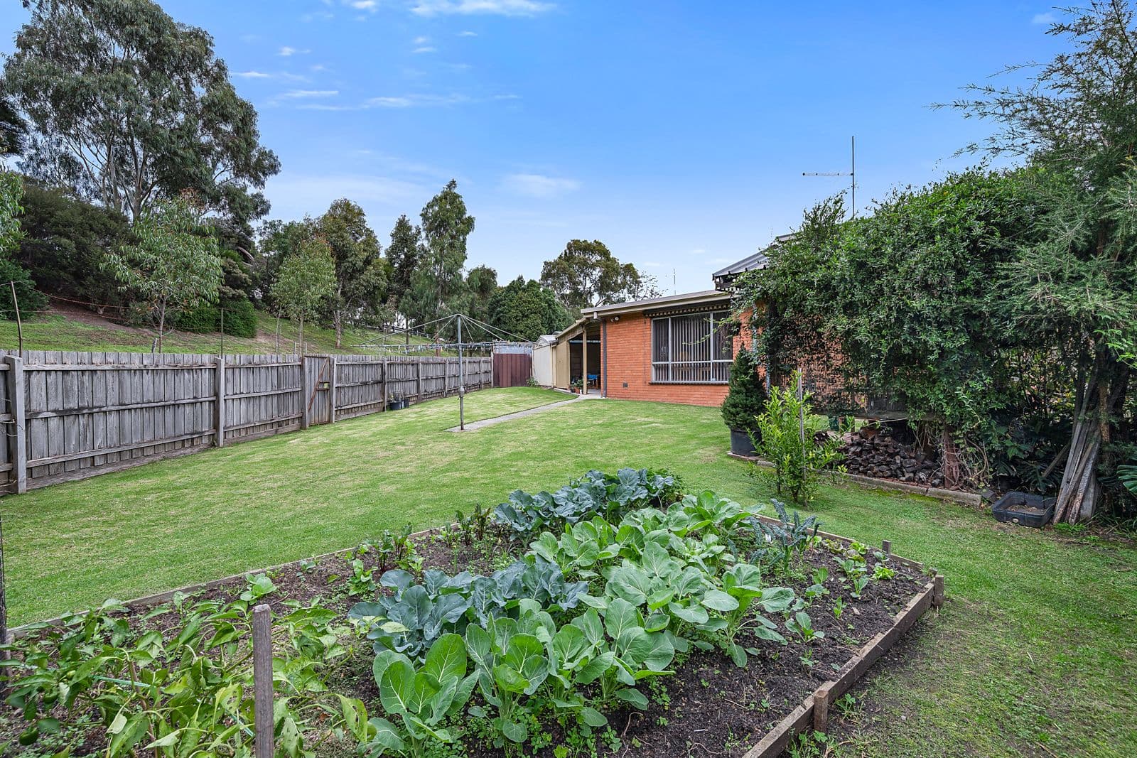 105 Therese Avenue, Mount Waverley VIC 3149, Mount Waverley - Thumbnail 7