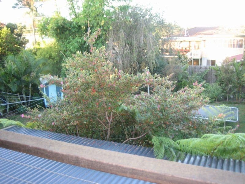 18 Lorraine Court, Lawnton QLD 4501, Lawnton - Thumbnail 4