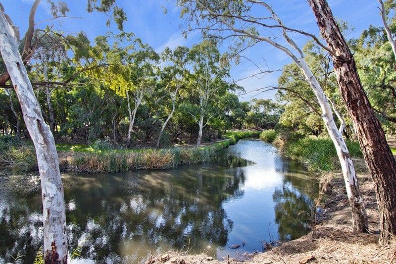 53 Main Street, Lockleys SA 5032, Lockleys - Thumbnail 7