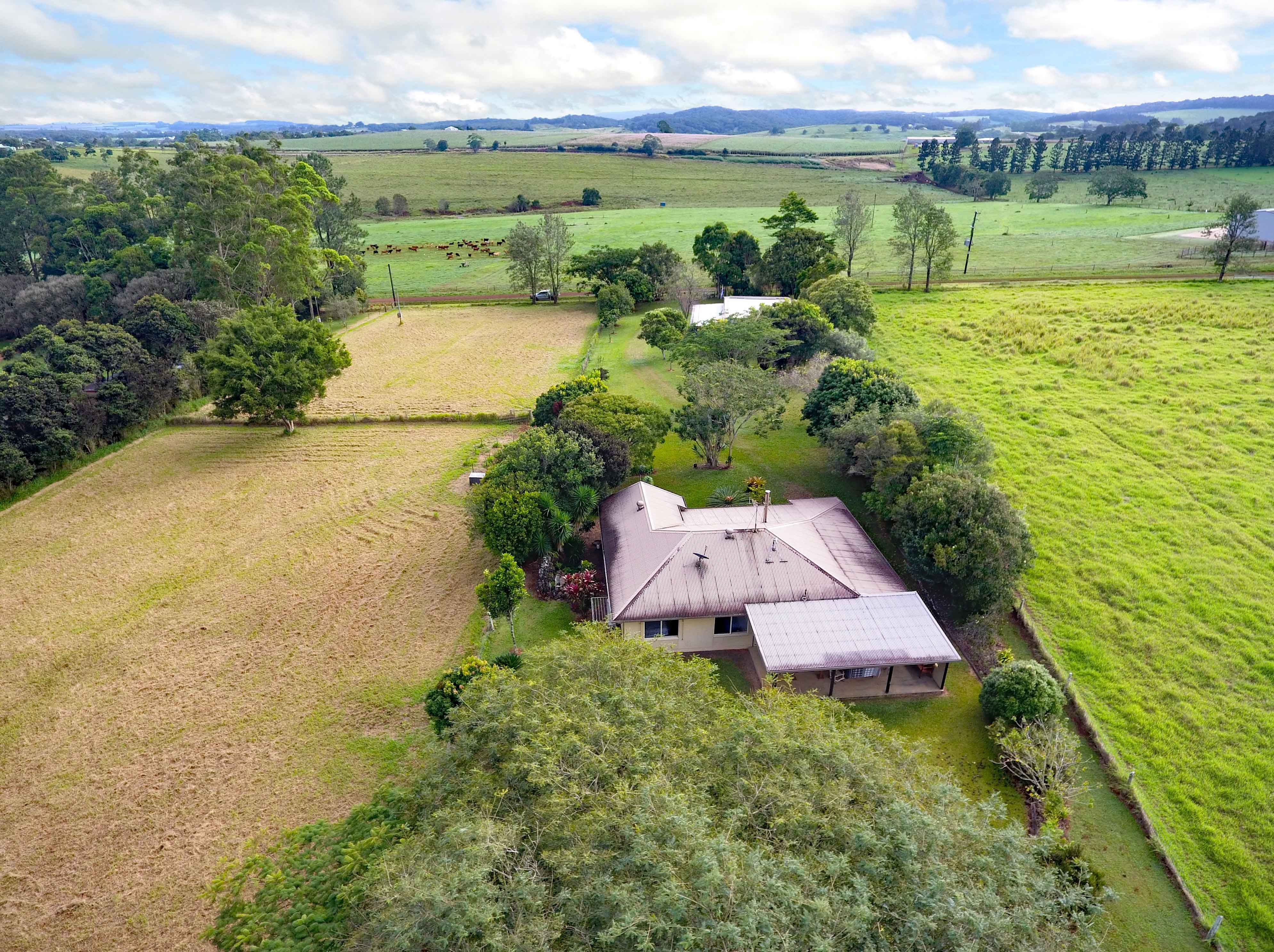 100 Jallard Road, Yungaburra QLD 4884, Yungaburra - Thumbnail 2