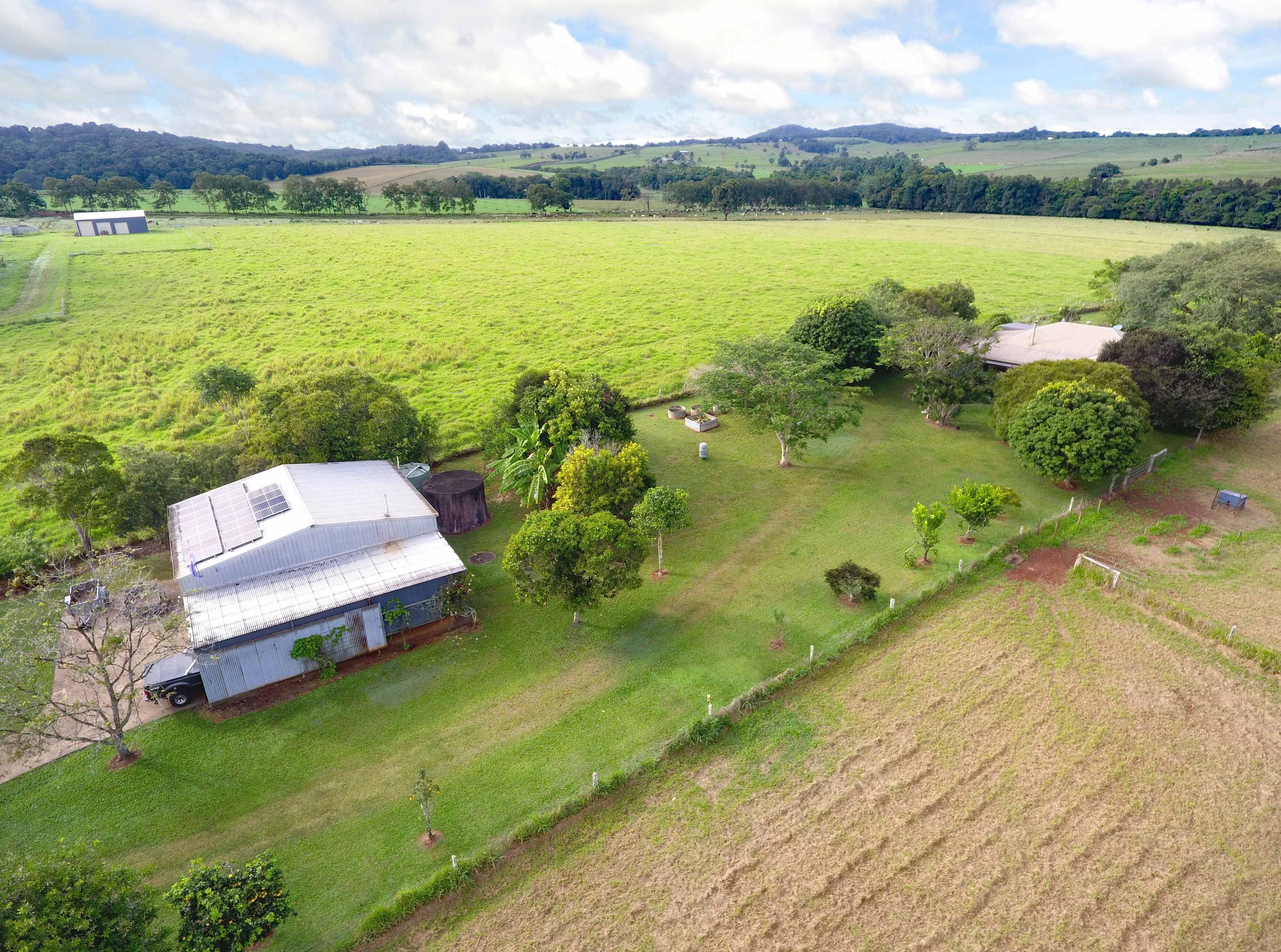 100 Jallard Road, Yungaburra QLD 4884, Yungaburra - Thumbnail 4