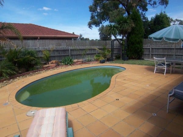 4 Daina Court, SKYE VIC 3977, Skye - Thumbnail 3