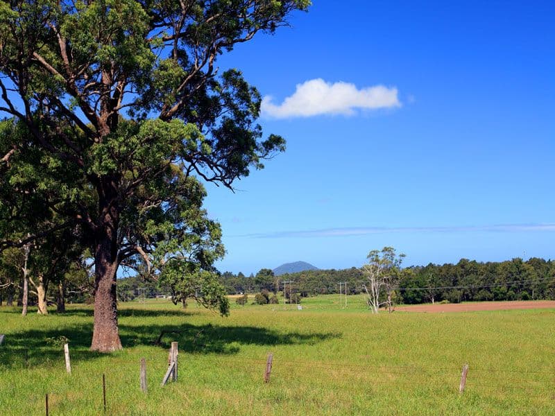 Lot 117a and 4 Taylors Lane, CAMBEWARRA NSW 2540, Cambewarra - Thumbnail 2