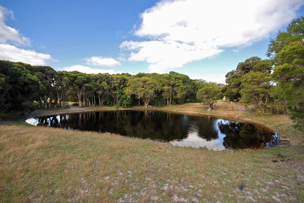 1540 Munbinea Road, Jurien Bay WA 6516, Jurien Bay - Image 1
