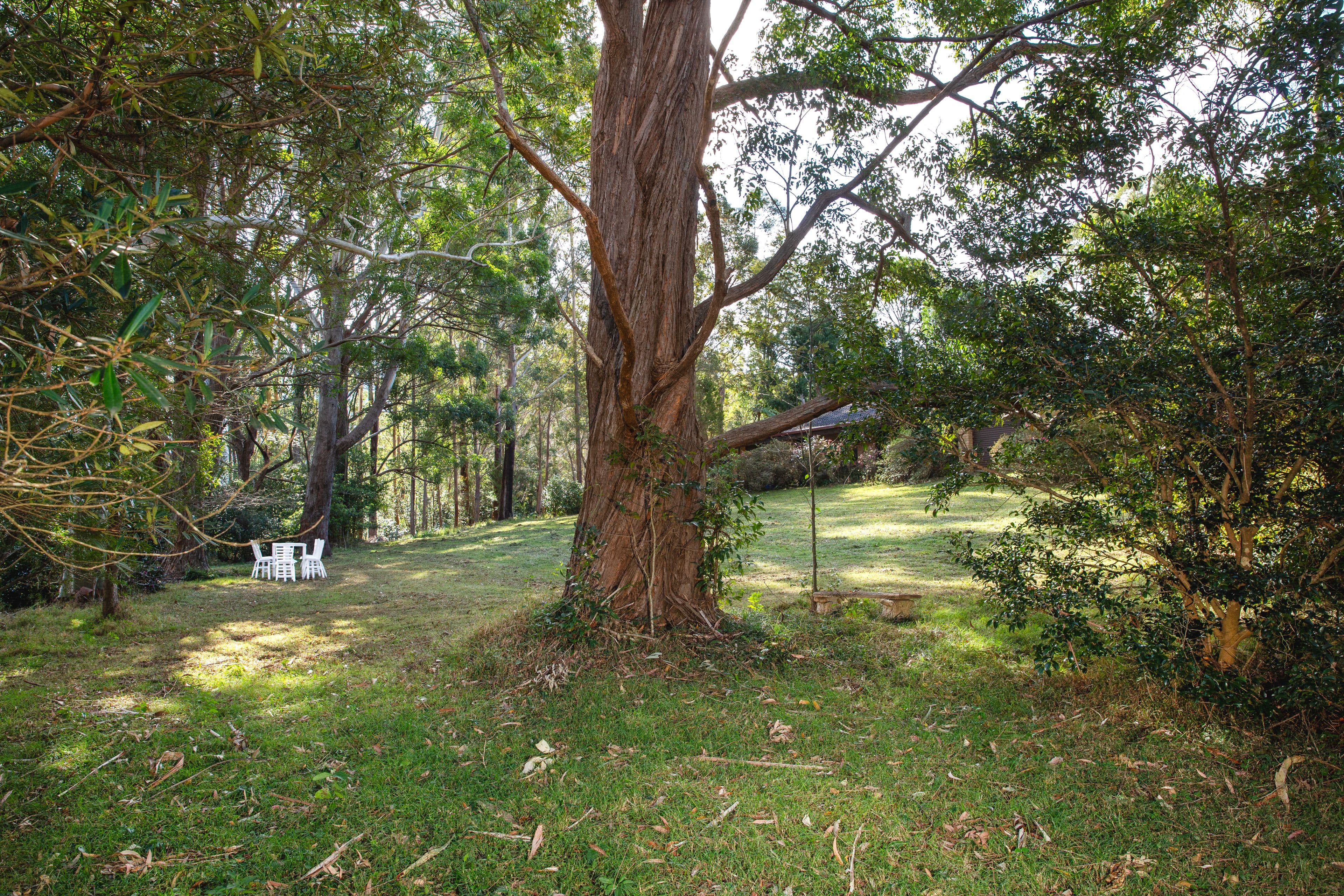 15 Hillandale Road, Broughton Vale NSW 2535, Broughton Vale - Thumbnail 7