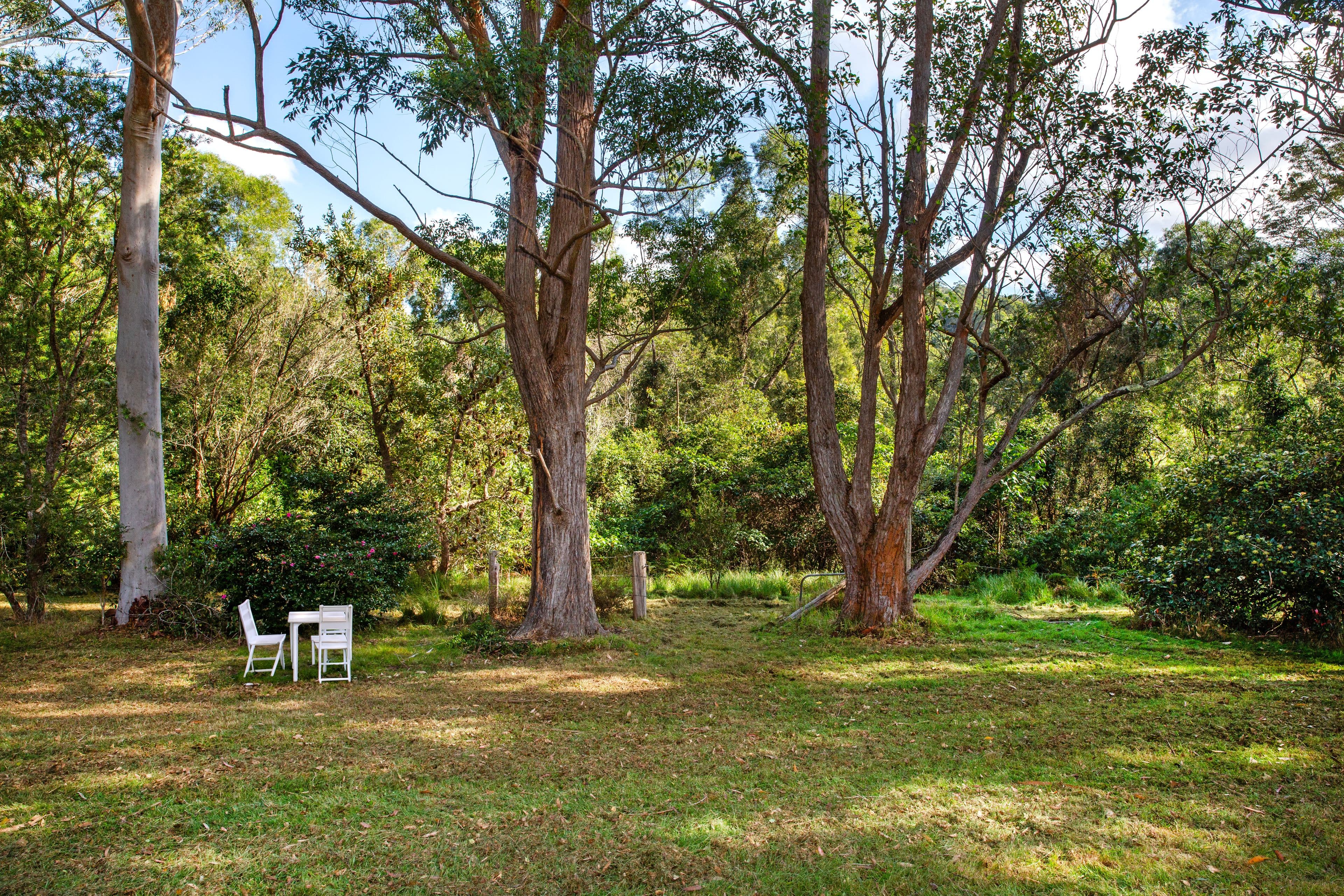 15 Hillandale Road, Broughton Vale NSW 2535, Broughton Vale - Thumbnail 8