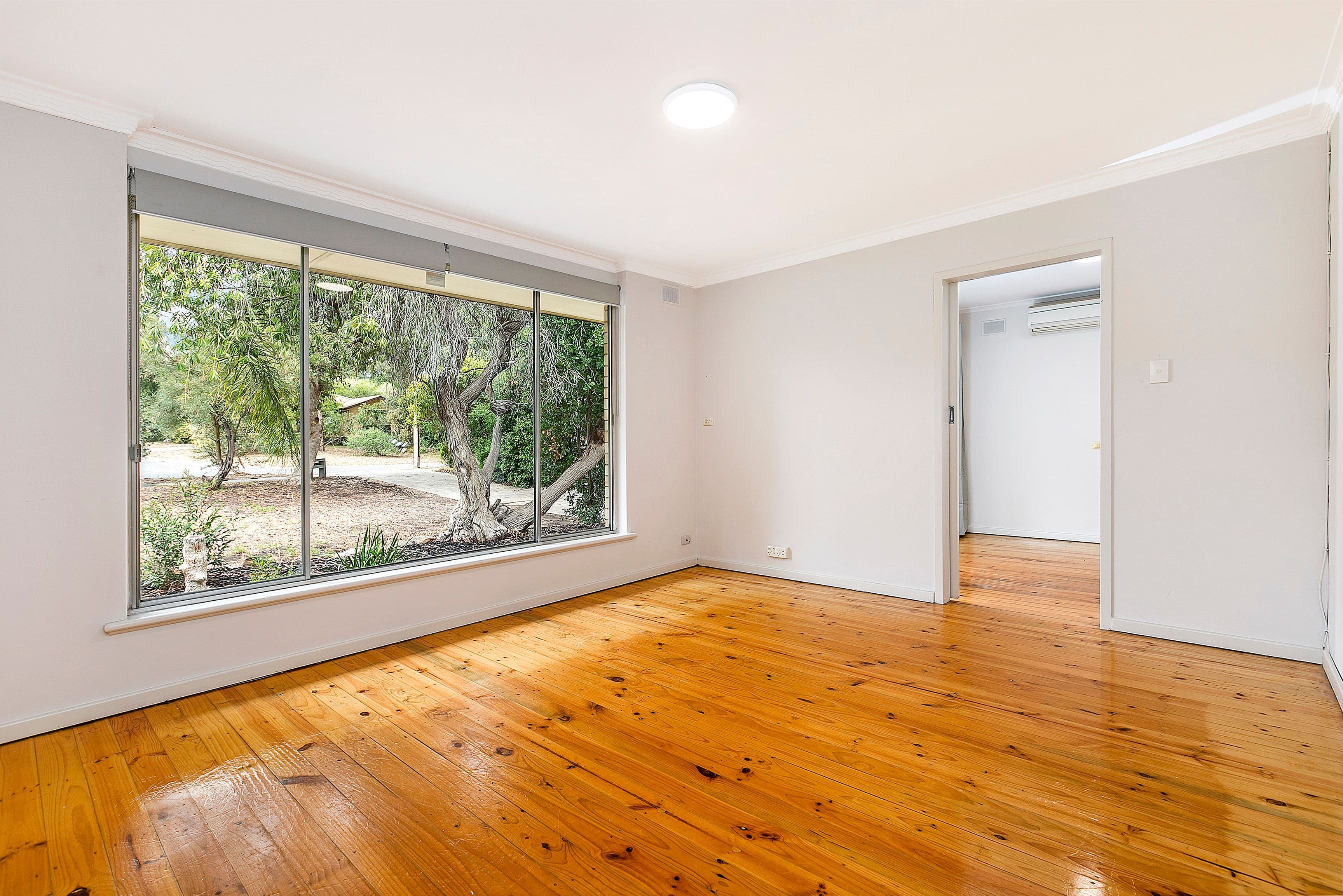 46 Cinnamon Avenue, St Agnes SA 5097, St Agnes - Thumbnail 4