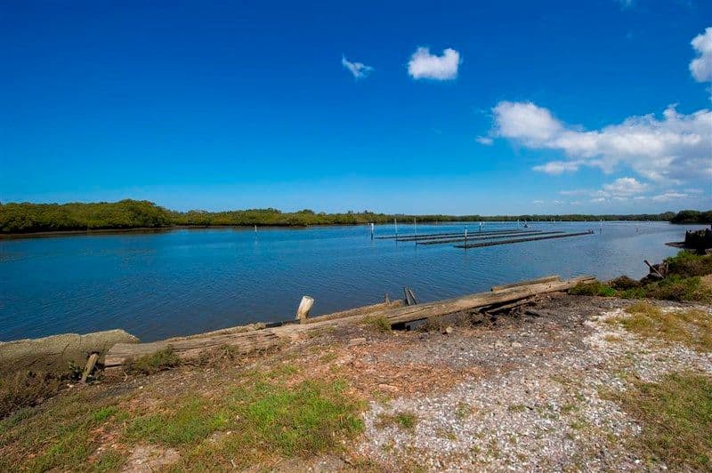 214 Lemon Tree Passage Road, SALT ASH NSW 2318, Salt Ash - Thumbnail 6