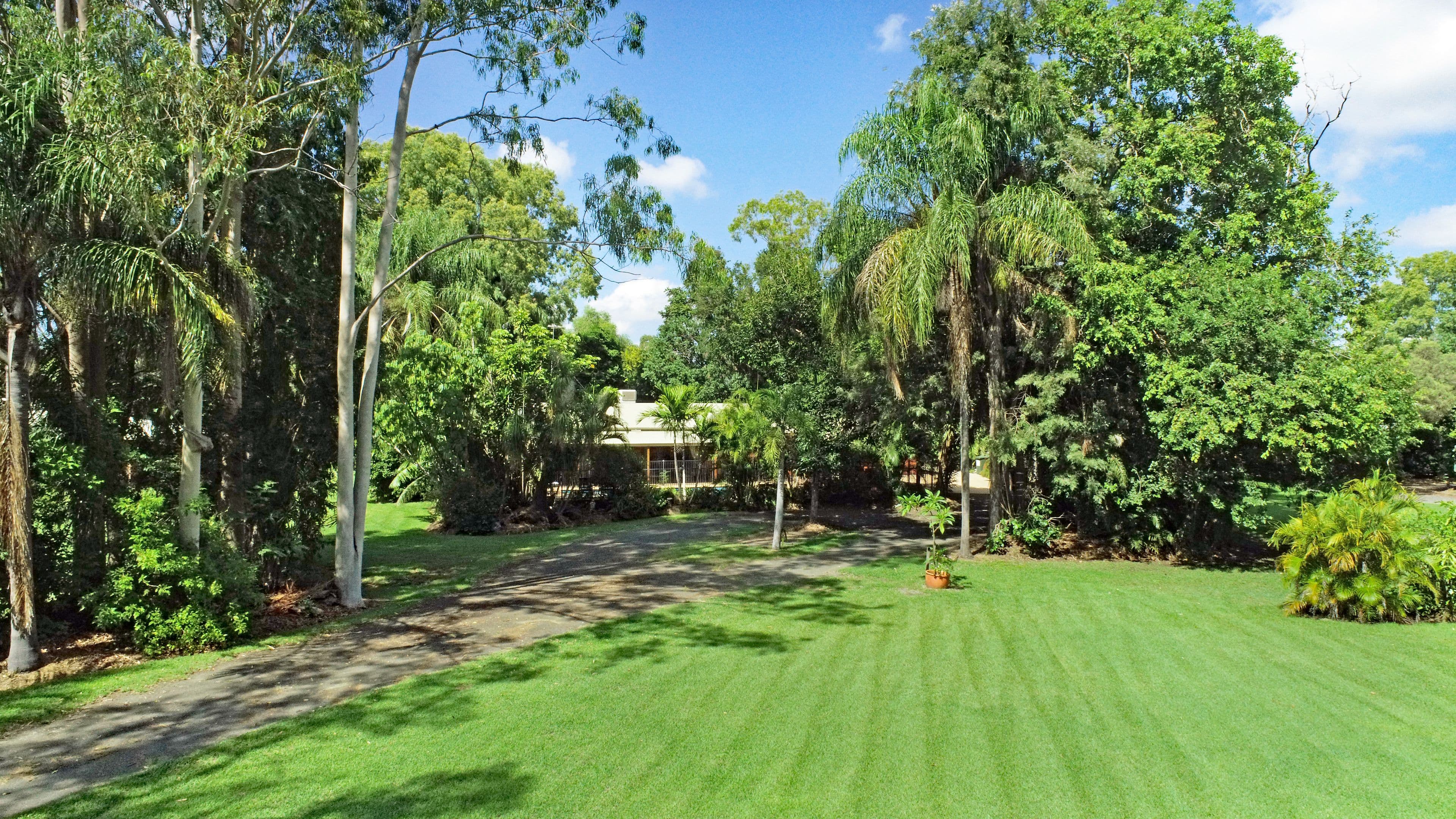 41 Tognolini Baldwin Road, Biloela QLD 4715, Biloela - Thumbnail 3