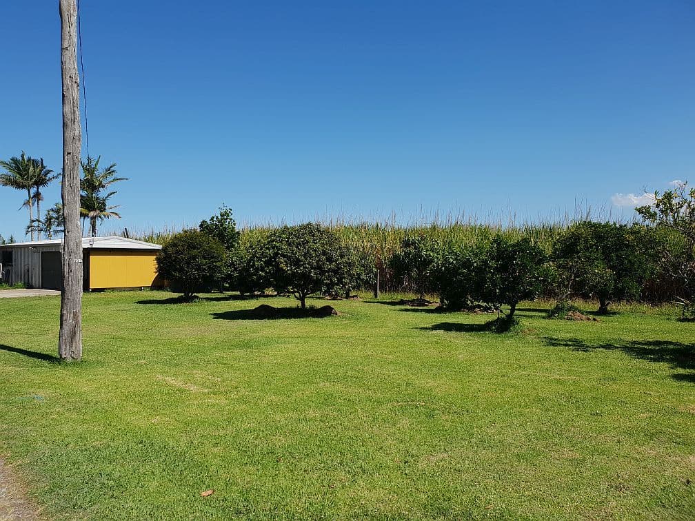 Lot 1, No. 59 Chatsworth Road, Chatsworth NSW 2469, Chatsworth - Thumbnail 4