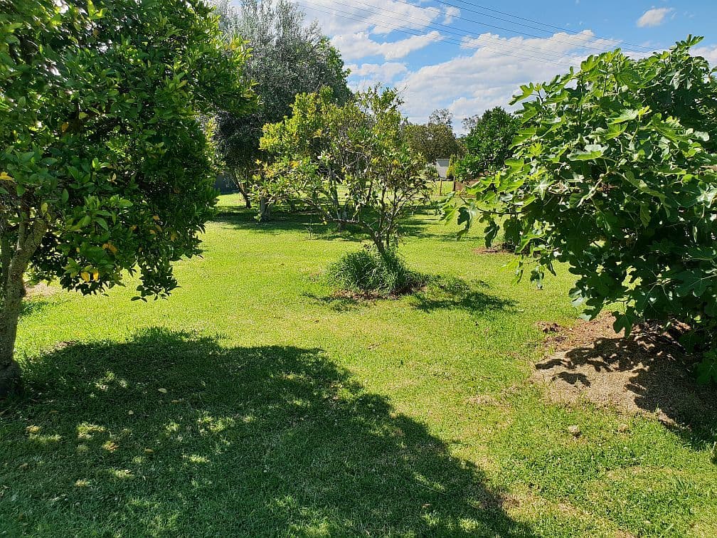 Lot 1, No. 59 Chatsworth Road, Chatsworth NSW 2469, Chatsworth - Thumbnail 5