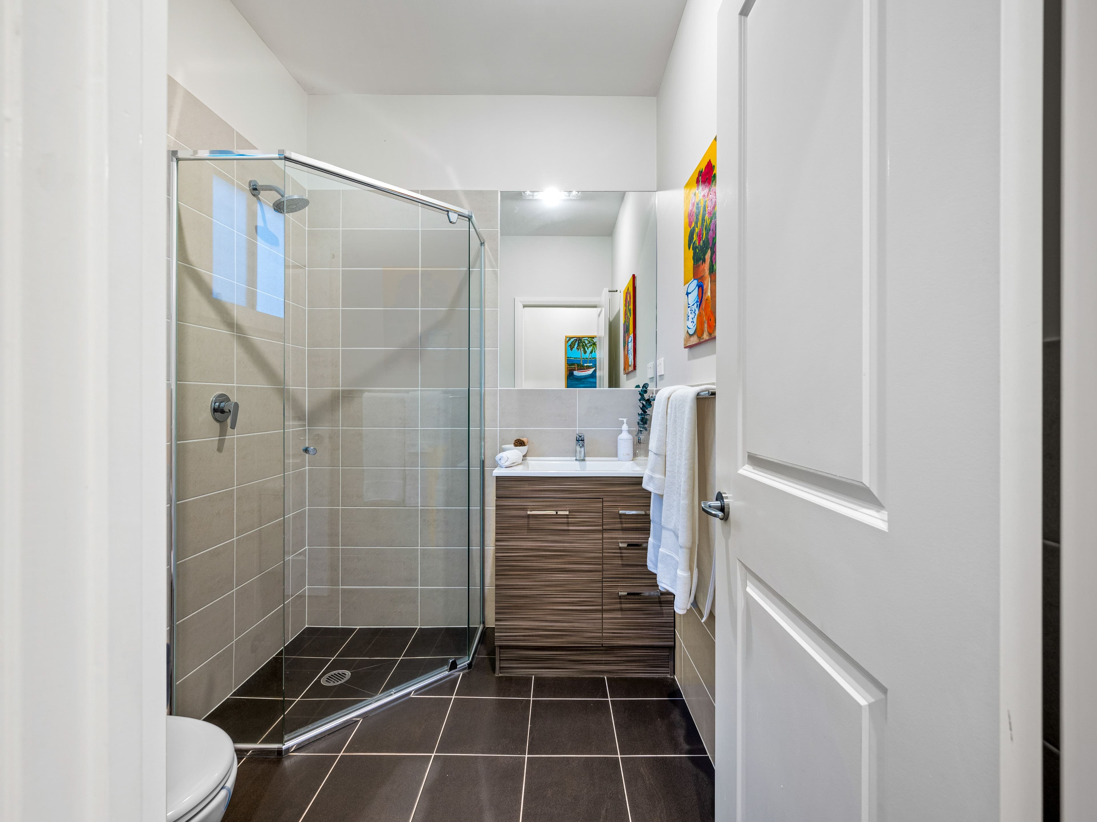 8 Caesar Place, Harrington Park NSW 2567, Harrington Park - Thumbnail 5