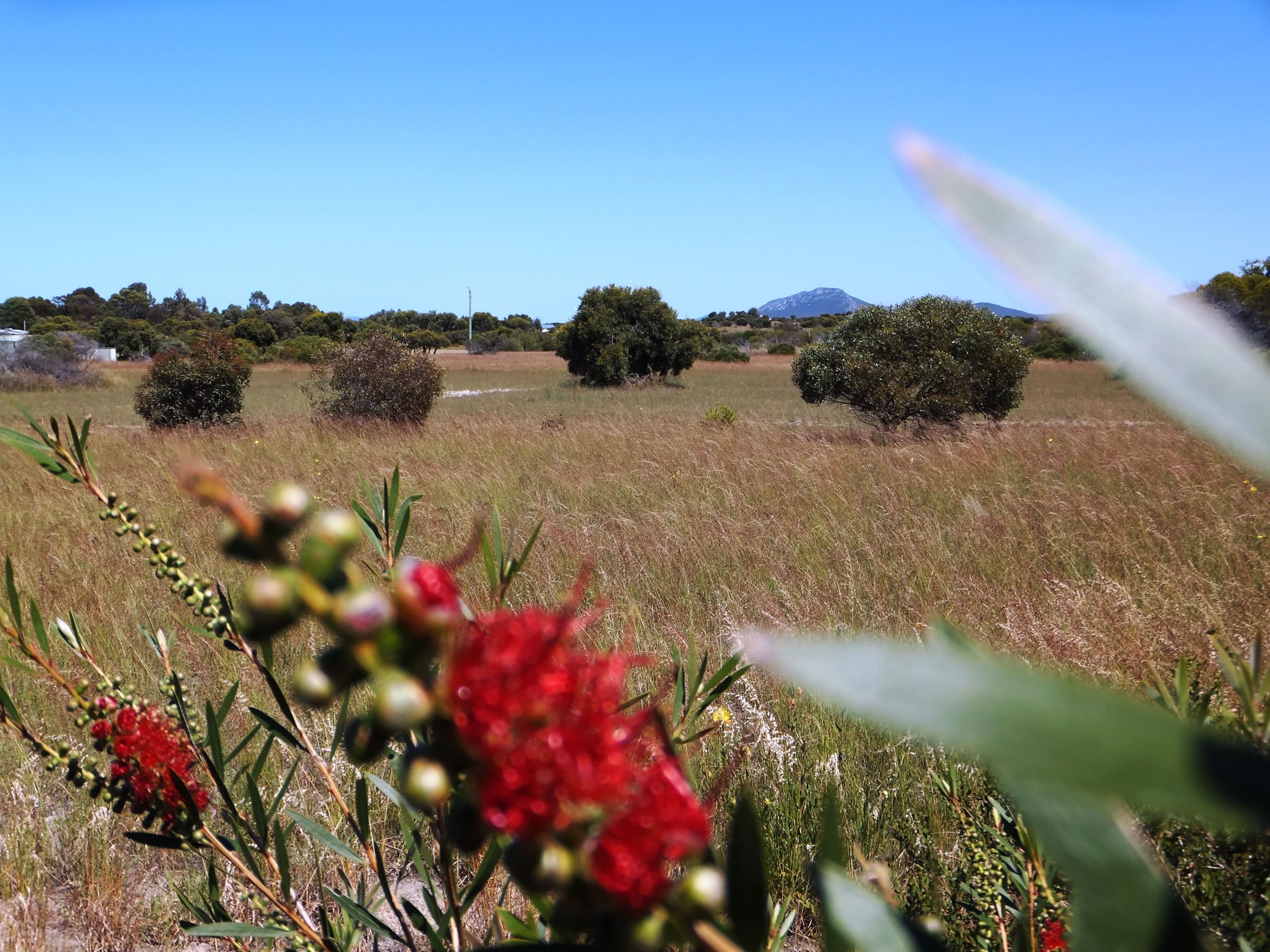214 Cambewarra Drive, Hopetoun WA 6348, Hopetoun - Thumbnail 2